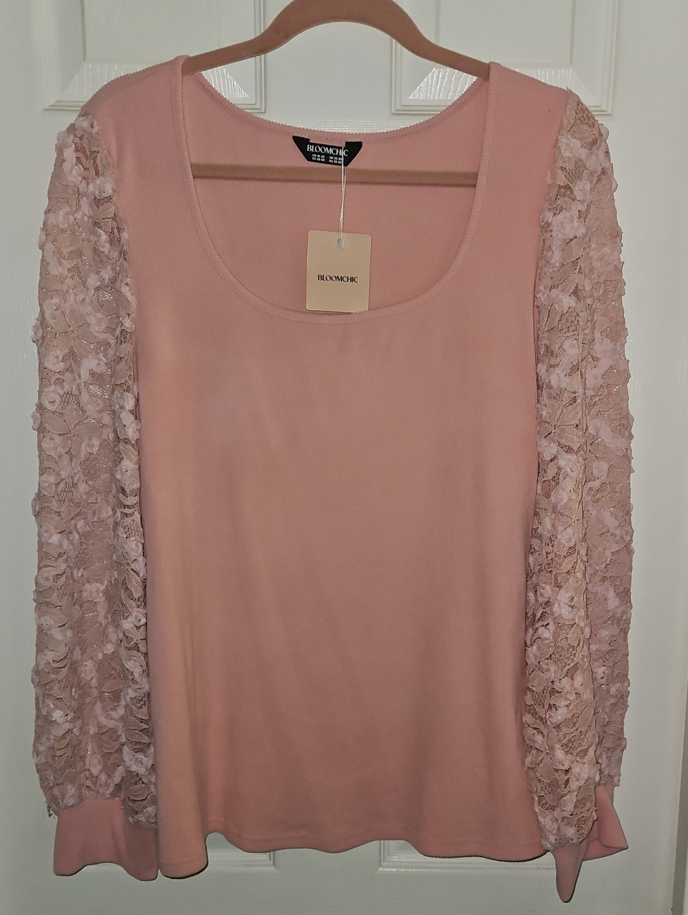 BloomChic Blush Pale Pink Lace-Sleeve Long Sleeve Top NWT 18-20 PLUS